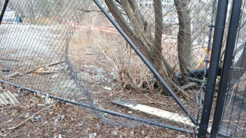 Squat Like Abc - DSC_0848.JPG