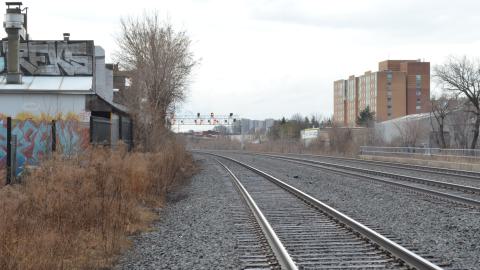 Squat Like Abc - DSC_0847.JPG