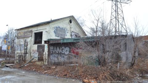 Squat Like Abc - DSC_0839.JPG