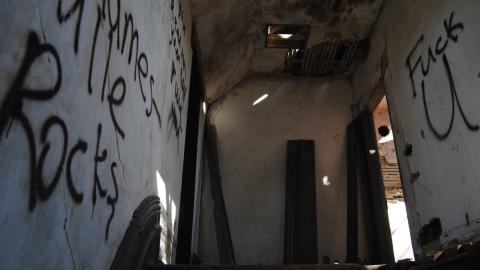 Multiple Visits April 2013 - July 2016 - 13.JPG