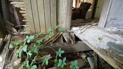 Multiple Visits April 2013 - July 2016 - 20.jpg