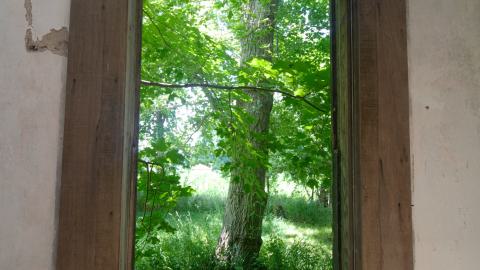 Multiple Visits April 2013 - July 2016 - 21.jpg