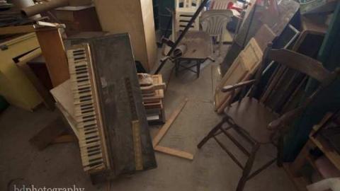 Electrohome Plant 4 photo 2