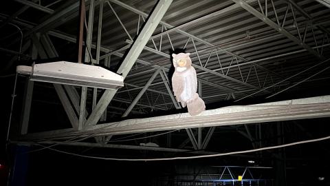 CantRoof - IMG_3032.jpg