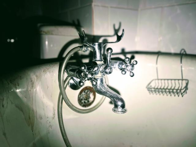 Back to Basics - IMG_6915.jpg