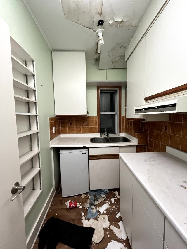 Back to Basics - IMG_6926.jpg