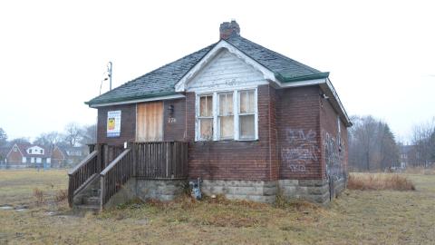 176 Finch - DSC_0178.JPG