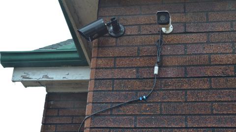 176 Finch - DSC_0177.JPG