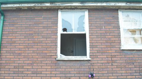 176 Finch - DSC_0174.JPG