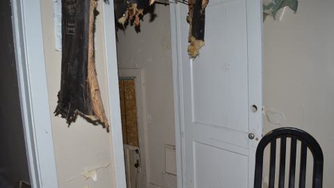 176 Finch - DSC_0173.JPG