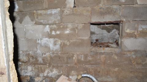 176 Finch - DSC_0171.JPG