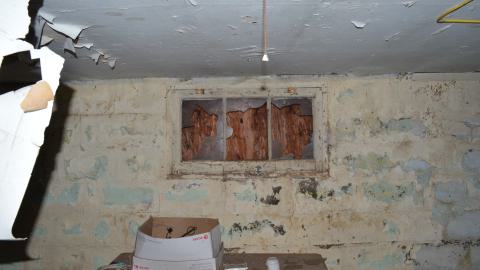 176 Finch - DSC_0169.JPG