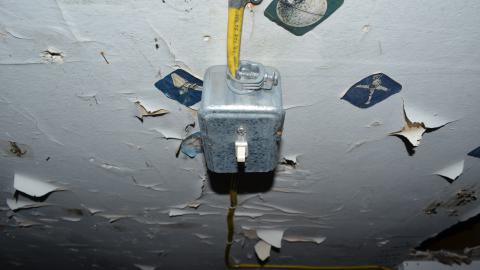 176 Finch - DSC_0168.JPG