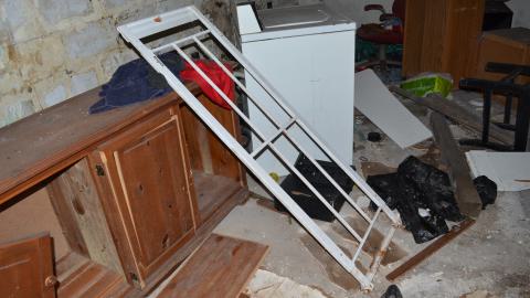 176 Finch - DSC_0166.JPG