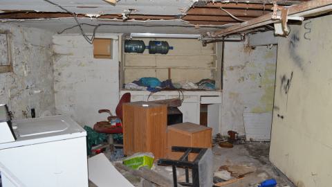 176 Finch - DSC_0165.JPG