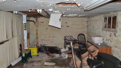 176 Finch - DSC_0164.JPG