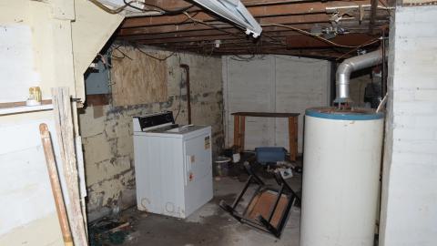 176 Finch - DSC_0163.JPG