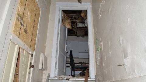 176 Finch - DSC_0162.JPG