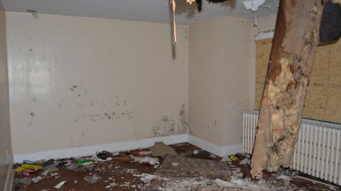 176 Finch - DSC_0161.JPG