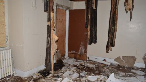 176 Finch - DSC_0159.JPG