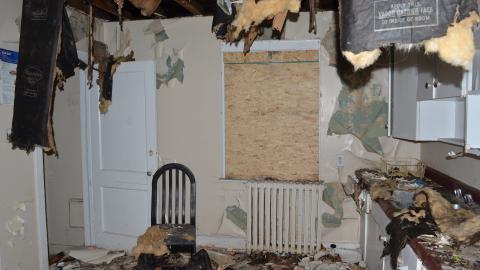 176 Finch - DSC_0157.JPG