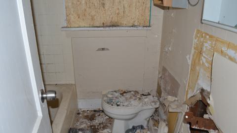 Photo from 176 Finch