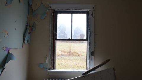 176 Finch - DSC_0154.JPG