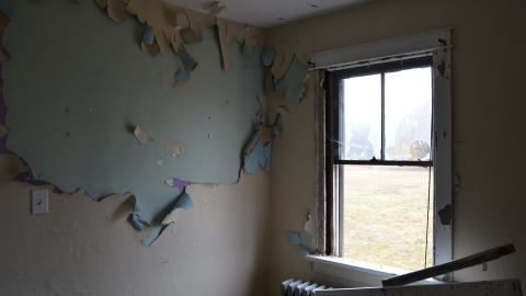 176 Finch - DSC_0152.JPG