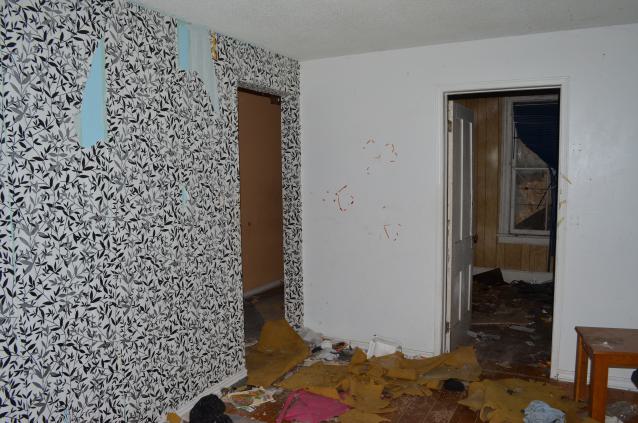 Perfect Combo - DSC_0268.JPG