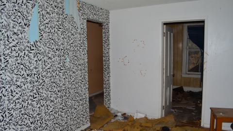 Perfect Combo - DSC_0268.JPG