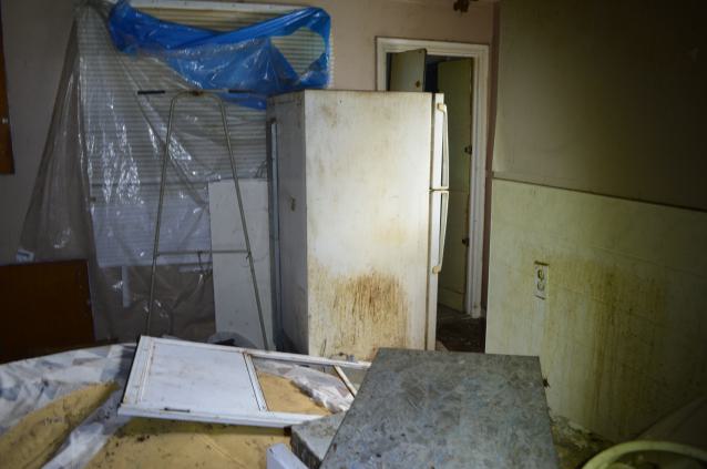 Perfect Combo - DSC_0267.JPG