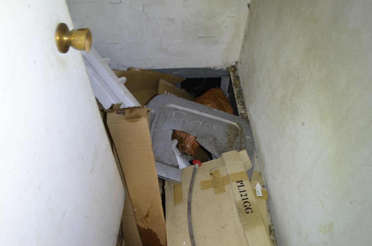 Perfect Combo - DSC_0263.JPG