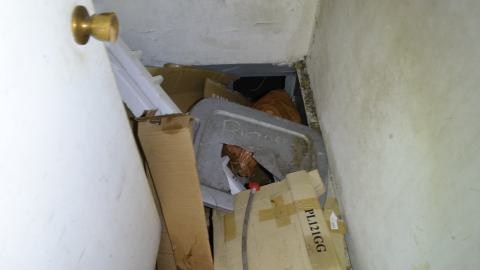 Quixl Auto Repairs + House - Brampton, Ontario