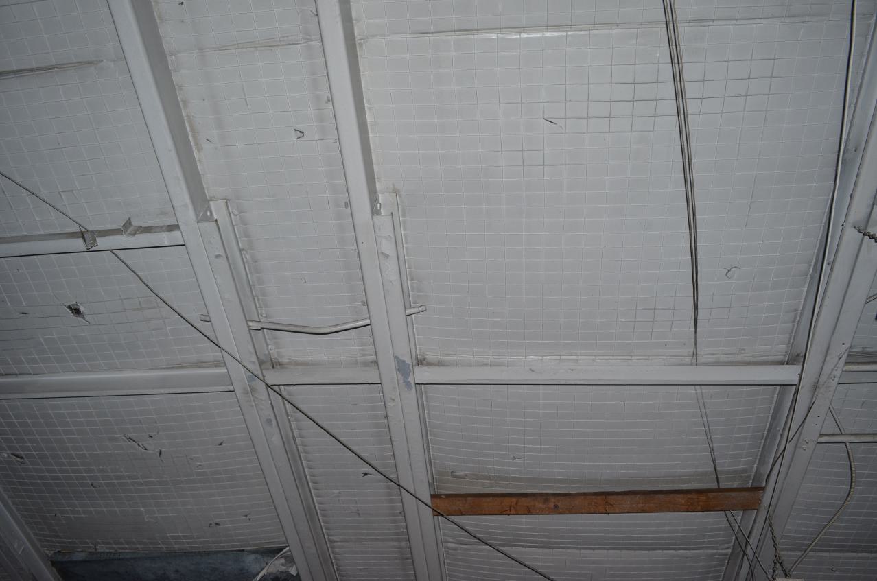 Already? - DSC_0290.JPG