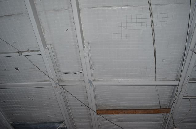 Already? - DSC_0290.JPG