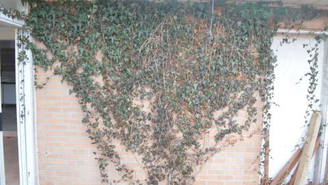 Niiice - DSC_0438.JPG