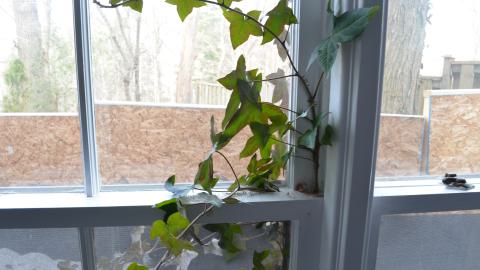 Niiice - DSC_0412.JPG