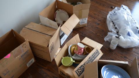 Niiice - DSC_0379.JPG