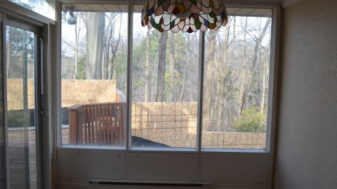 Niiice - DSC_0373.JPG