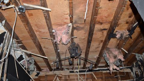 Already? - DSC_0464.JPG