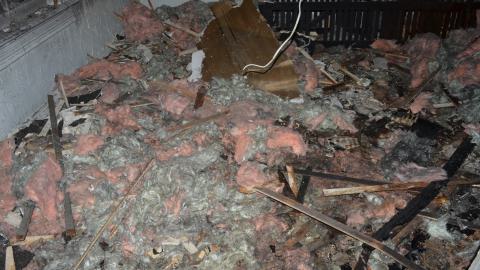 Already? - DSC_0463.JPG