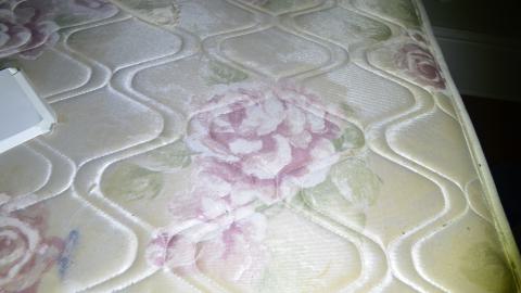 V P Grinding - DSC_0485.JPG