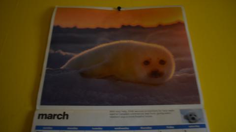 Not Just Another House - DSC_0536.JPG