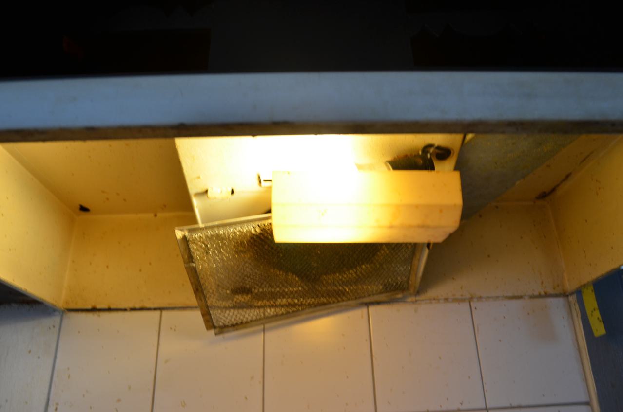 Not Just Another House - DSC_0523.JPG