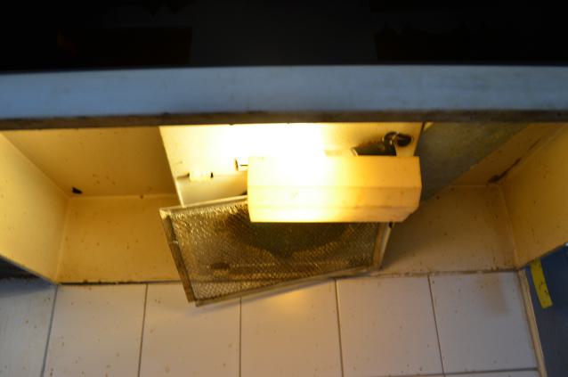 Not Just Another House - DSC_0523.JPG