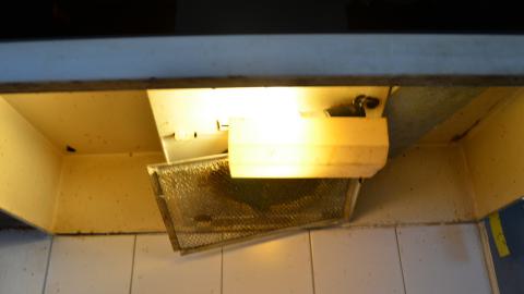 Not Just Another House - DSC_0523.JPG