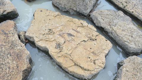 Nice Little Drain - DSC_0630.JPG