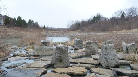 Nice Little Drain - DSC_0629.JPG