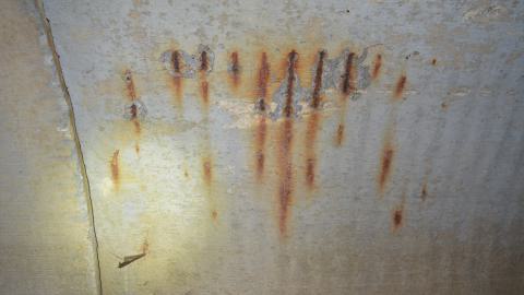 Nice Little Drain - DSC_0617.JPG