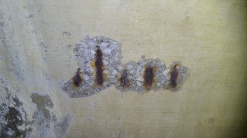 Nice Little Drain - DSC_0612.JPG